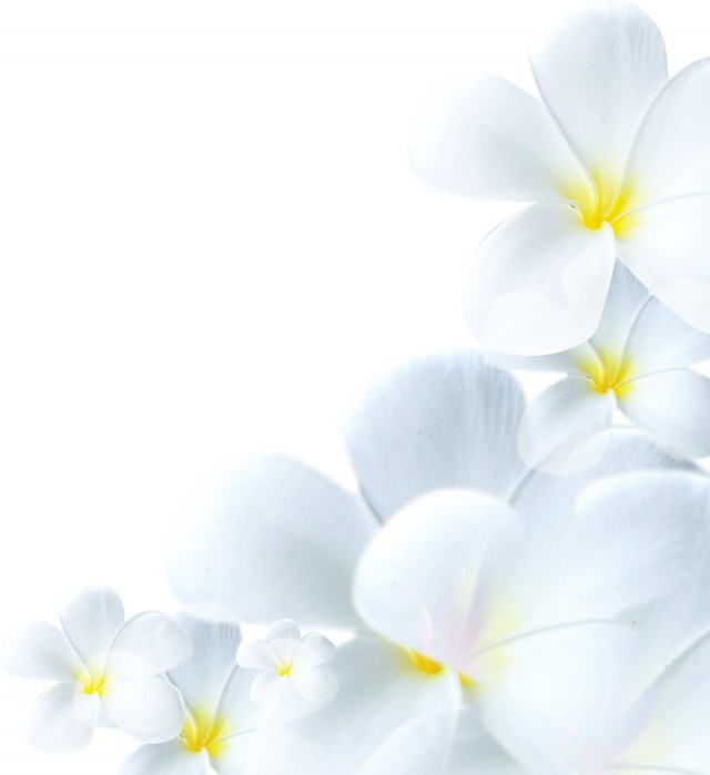 flower1602
