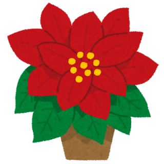flower_poinsettia