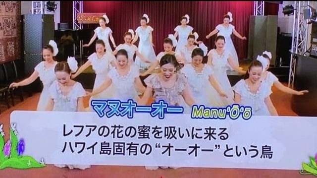 ナーレイレイコフラスタジオ、ハワイアンLive in BIRDLAND,MXテレビ放映