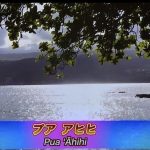 ナーレイレイコフラスタジオ、ハワイアンLive in BIRDLAND,MXテレビ放映