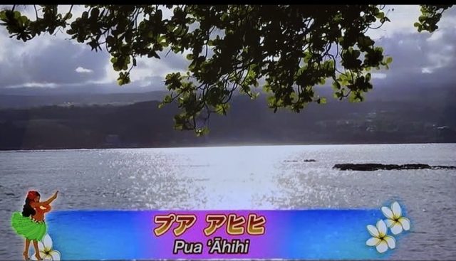 ナーレイレイコフラスタジオ、ハワイアンLive in BIRDLAND,MXテレビ放映